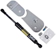 DZ43207 Direct Fit Tailgate Assist, Sold Individually