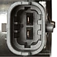 HM10081 Fuel Pump, Mechanical, Without Fuel Sending Unit, 5.0L, 8Cyl