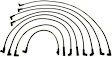 XS10202 Spark Plug Wire, Set of 8
