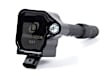 D650-0008 Ignition Coil, Sold Individually