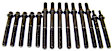 HBK1123 DNJ Cylinder Head Bolt Cylinder Head Bolt, Set of 14