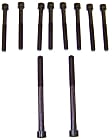 HBK124 DNJ Cylinder Head Bolt Cylinder Head Bolt, Set of 10
