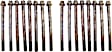 HBK318 DNJ Cylinder Head Bolt Cylinder Head Bolt, Set of 16