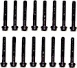 HBK421 DNJ Cylinder Head Bolt Cylinder Head Bolt, Set of 16