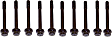 HBK525 DNJ Cylinder Head Bolt Cylinder Head Bolt, Set of 10