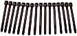 HBK806 DNJ Cylinder Head Bolt Cylinder Head Bolt, Set of 16