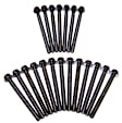 HBK816 DNJ Cylinder Head Bolt Cylinder Head Bolt, Set of 20
