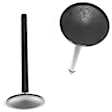 IV148 Intake Valve - Direct Fit, Sold individually