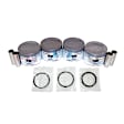 PRK110 Piston - Direct Fit, Set
