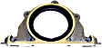 RM1160 DNJ OE Replacement Crankshaft Seal - Direct Fit, Sold individually