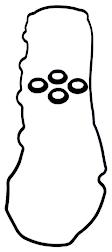 2010 Toyota Camry - Valve Cover Gasket, 4 Cyl 2.5L