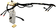 FG0019 Fuel Pump, Electric, With Fuel Sending Unit, 3.4L, 6Cyl