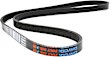 5040420 Serpentine belt, 4 Rib Count