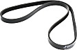 5040425 Serpentine belt