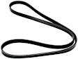 1995 Toyota Pickup - Fan and Alternator Serpentine belt, 6 Cyl 3.0L