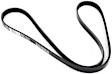 1995 Toyota Pickup - Fan and Alternator Serpentine belt, 6 Cyl 3.0L