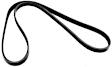1995 Toyota Pickup - Fan and Alternator Serpentine belt, 6 Cyl 3.0L