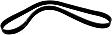 2000 Sterling Truck AT9500 - Water Pump Serpentine belt, 6 Cyl 14.0L