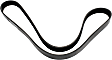 1991 Ford LA9000 - Water Pump Serpentine belt, 6 Cyl 14.0L