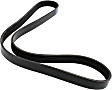 1991 Ford LA9000 - Water Pump Serpentine belt, 6 Cyl 14.0L