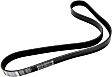 1991 Ford LA9000 - Water Pump Serpentine belt, 6 Cyl 14.0L