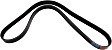 1991 Ford LA9000 - Water Pump Serpentine belt, 6 Cyl 14.0L