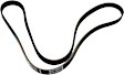 2005 BMW 525i - Main Drive Serpentine belt, with Automatic Cornering Enhancement