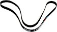 2005 BMW 525i - Main Drive Serpentine belt, with Automatic Cornering Enhancement