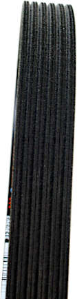 2005 BMW 525i - Main Drive Serpentine belt, with Automatic Cornering Enhancement