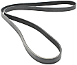 5060690 Main Drive Serpentine belt, 6 Rib Count