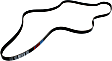 5060930 Serpentine belt, 6 Rib Count