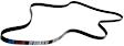 2006 Mercedes Benz CL55 AMG - Main Drive Serpentine belt