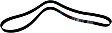 5070695 Main Drive Serpentine belt