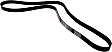 5070695 Main Drive Serpentine belt