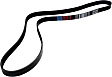 5070695 Main Drive Serpentine belt