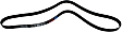 5070695 Main Drive Serpentine belt