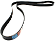 5070763 Serpentine belt, 7 Rib Count