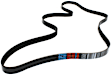 5070950 Main Drive Serpentine belt