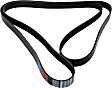 5070973 Main Drive Serpentine belt, 7 Rib Count