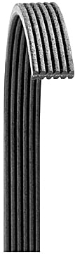 6060502 Dayco Poly Rib Series Serpentine Belt - Direct Fit, Sold Individually