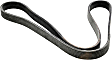 2002 Volkswagen EuroVan - Main Drive Serpentine belt, 6 Cyl 2.8L