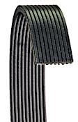 6100672 Serpentine Belt - Direct Fit, Sold Individually