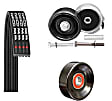 D60855K1 Serpentine Belt - Direct Fit, Kit