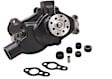 DP1331 Water Pump, OE Replacement Series