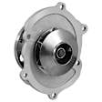 DP1831 Water Pump