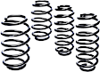 E10-20-036-01-22 Pro-Kit Series Front and Rear Lowering Springs - Set of 4