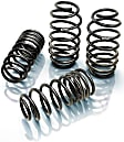 E10-57-004-01-22 Pro-Kit Series Front and Rear Lowering Springs - Set of 4