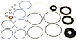 8859 Steering Gear Seal Kit - Direct Fit, Kit
