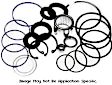 8755 Power Steering Pump Seal Kit