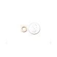 046-130-219 A Fuel Injector Seal - Direct Fit